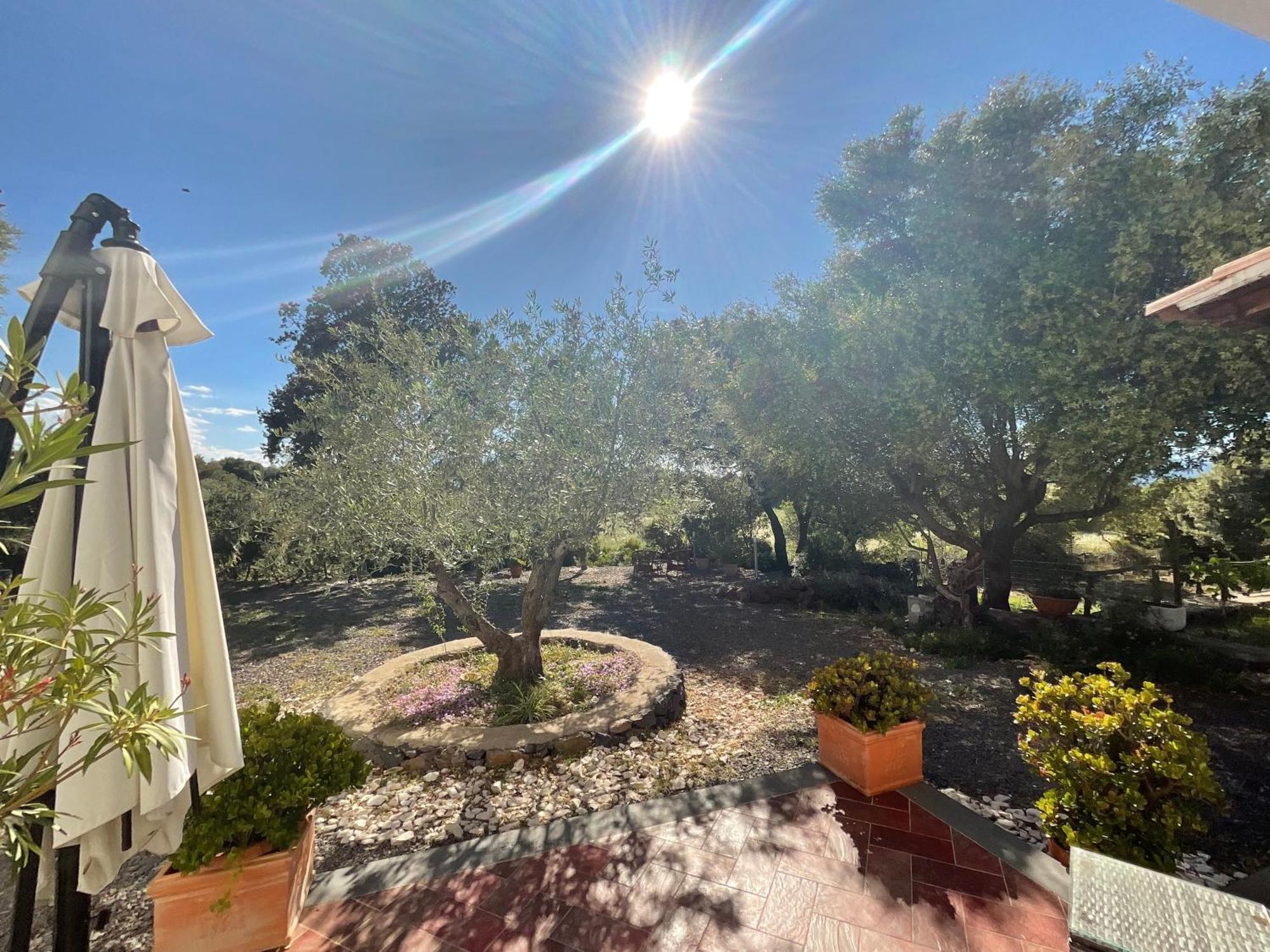 Residenza Di Campagna Dolmen Motorra Casa de hóspedes Dorgali Exterior foto